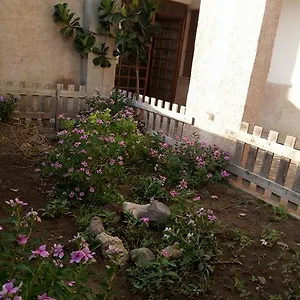 Orchidea House Casa vacanze